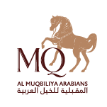 Al Muqbiliya Arabians – LOU Clients